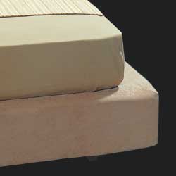 ������ ��������